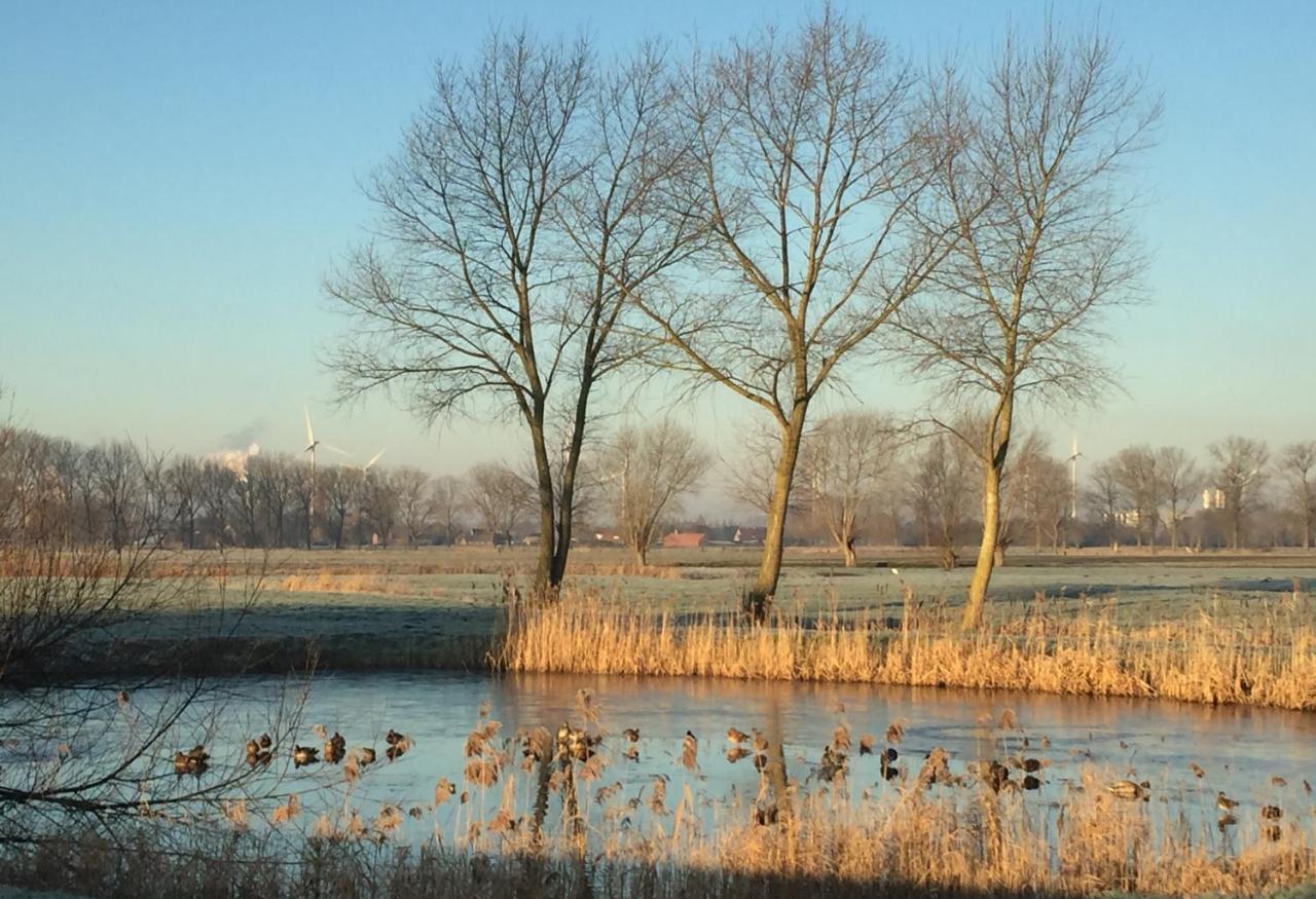 Logies De Meerkoet Bruges Exterior photo
